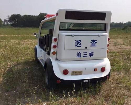 图 成都电动巡逻车 北京自行车 电动车